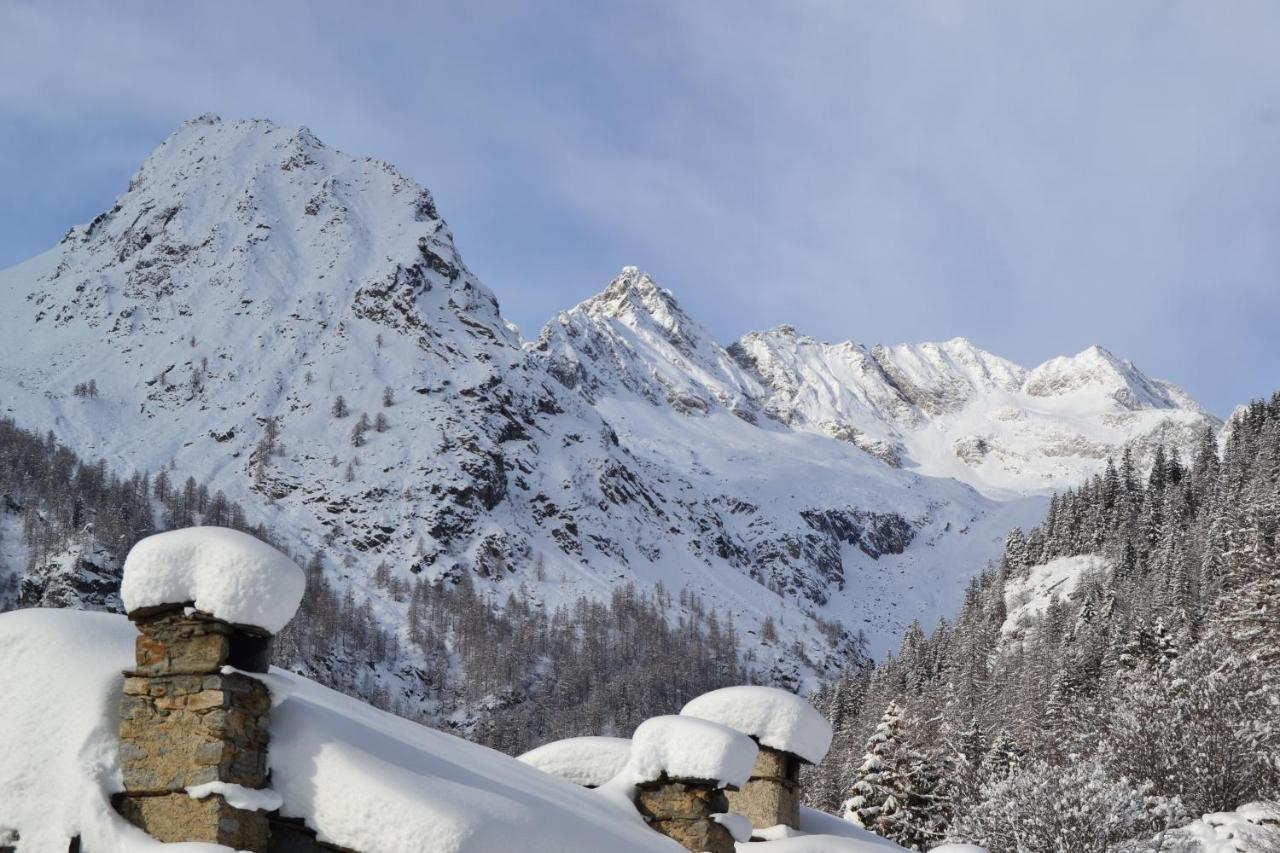 La Mura' - Il Vostro Posto Nel Gran Paradiso Ronco Canavese Exteriör bild