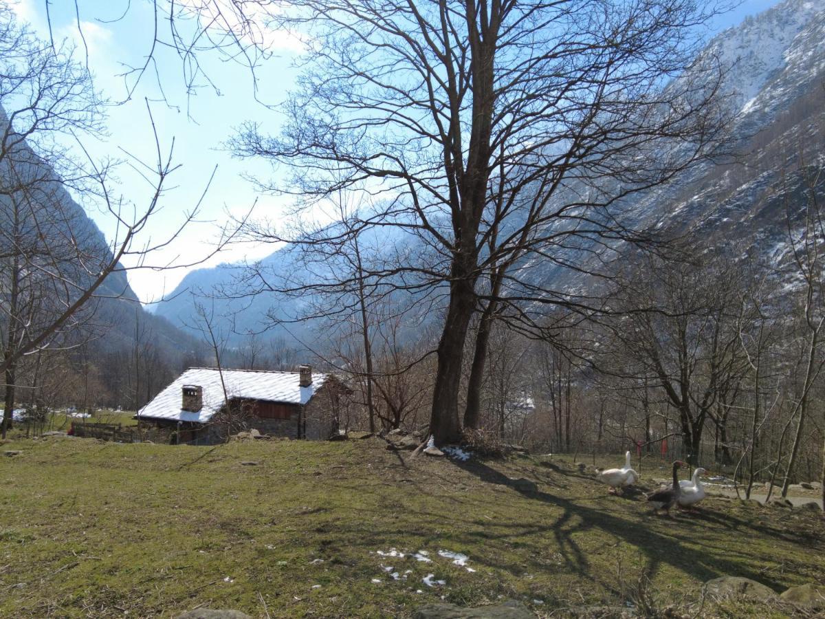 La Mura' - Il Vostro Posto Nel Gran Paradiso Ronco Canavese Exteriör bild