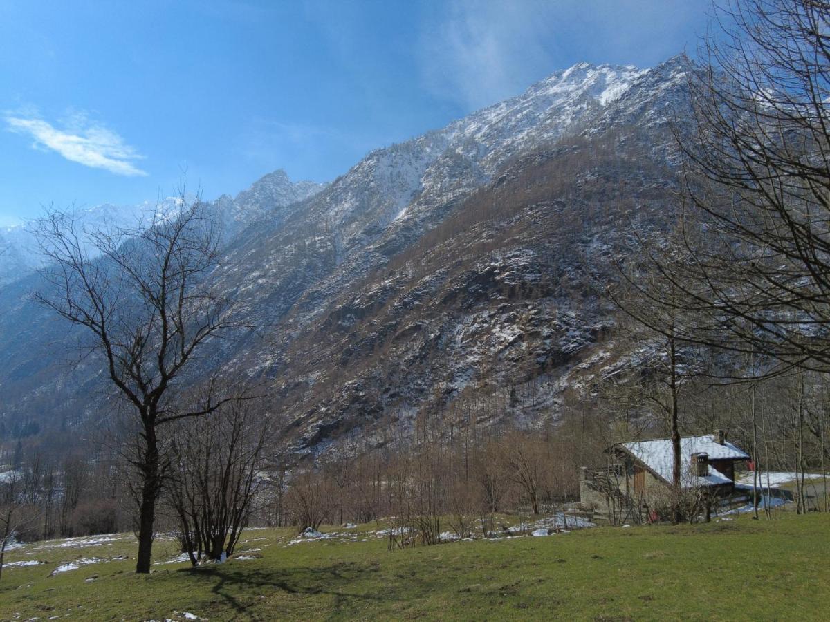 La Mura' - Il Vostro Posto Nel Gran Paradiso Ronco Canavese Exteriör bild