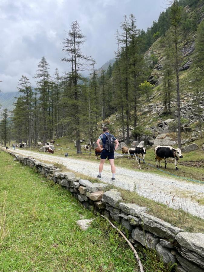 La Mura' - Il Vostro Posto Nel Gran Paradiso Ronco Canavese Exteriör bild